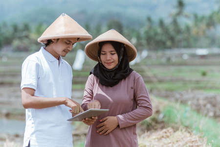 two Asian farmers used tablets to calculate the rice yields of rice cropsの写真素材