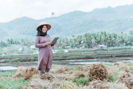 Modern Muslim female farmers use tablets after harvesting riceの写真素材