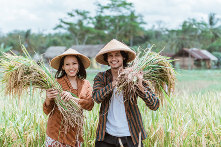 Male Asian and female farmers carry their hands up to the top of the harvest together in the fieldsの写真素材