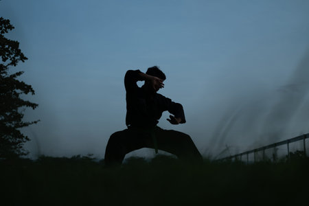 silhouette of male warrior with side stance movement