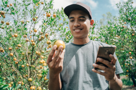 Orange farmer check the quality of the fruitsの写真素材