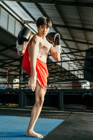 full body of ultimate fighter in boxing gloves with knee kick standingの写真素材