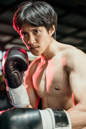 close up of boxer fighter in boxing gloves ready to fightの写真素材