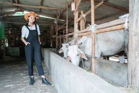 cowgirl wearing a hat in a cow penの写真素材