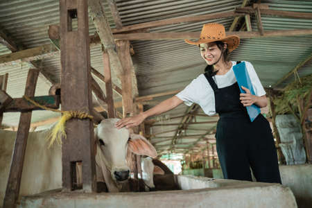 cowboy woman wearing hat stands holding clipboard and head of a calfの写真素材