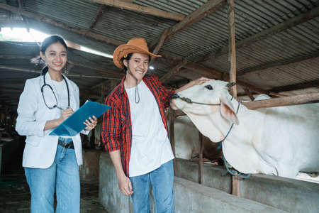 a veterinarian and a ranch owner smiles at the camera while standing near the cowの写真素材