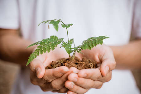 planting tree for better environment sustainabilityの写真素材