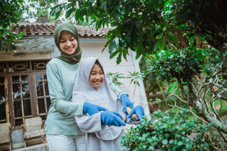 Mother helps daughter learn to use pruning shearsの写真素材