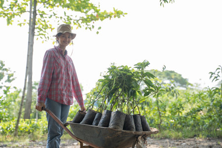female farmer carrying tree seedlings using wheelbarrow with garden backgroundの写真素材