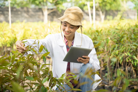 An Asian Agriculturist Woman collects data on plant cultivation from seeds to measure the growth rate in the plantation.の写真素材