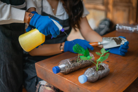 crop view female hand spraying green seedling on the tableの写真素材