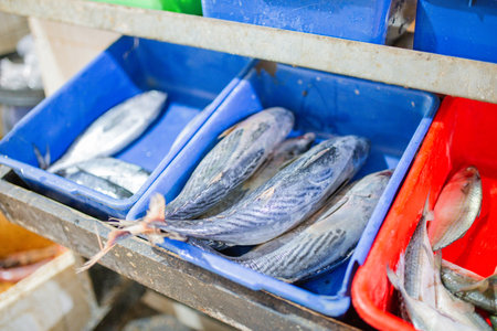 An assortment of various types of fish beautifully displayed in colorful trays at a bustling marketの写真素材