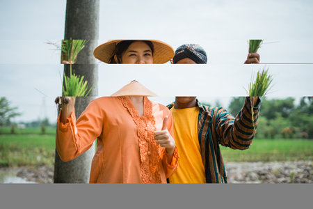 Joyful farmers proudly hold rice seedlings in their vibrant green fields of lush cropsの写真素材