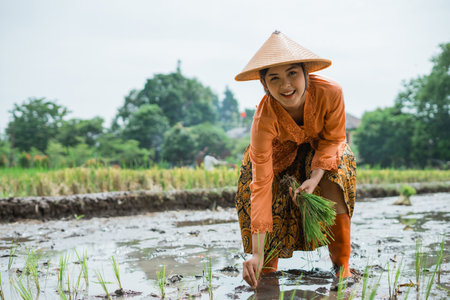 A joyful farmer plants rice in vibrant green fields under a clear blue sky, embracing natureの写真素材