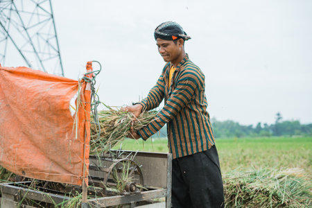 A farmer expertly operates a harvesting machine in a vibrant, lush field full of lifeの写真素材