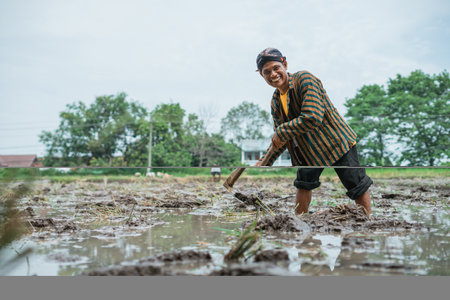 A dedicated farmer is diligently plowing a rice field while working under a cloudy skyの写真素材
