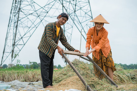 In a beautiful and vast rice field, farmers work together in harmony beneath a tall power lineの写真素材