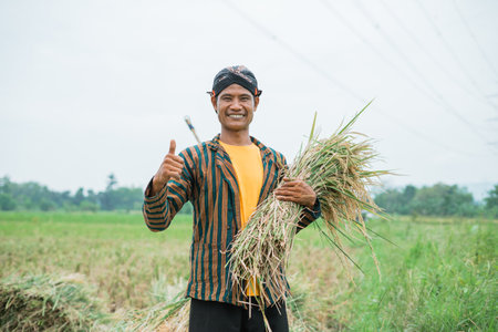 A joyful farmer proudly poses with freshly harvested rice in a lush, vibrant green fieldの写真素材