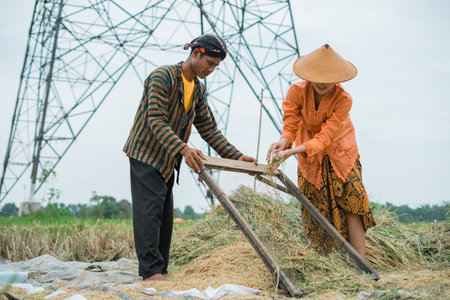 Farmers collaborate in lush green rice fields under sturdy power lines across the landscapeの写真素材