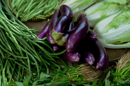 A vibrant assortment of a variety of fresh organic vegetables including delicious eggplants, greens, and crisp lettuceの写真素材