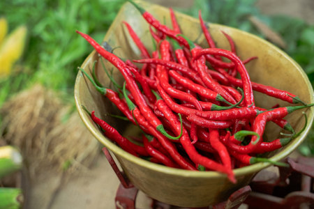 Vibrant and bright red chili peppers, ideal for cooking and culinary usesの写真素材