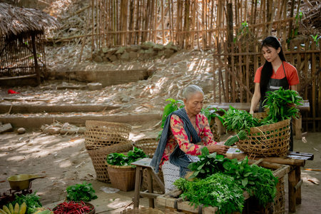In a charming rustic market setting, an elderly woman and a young girl work together to prepare fresh herbsの写真素材