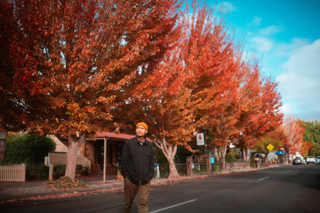 A person walks through a colorful autumn scene beneath brilliant trees.の写真素材