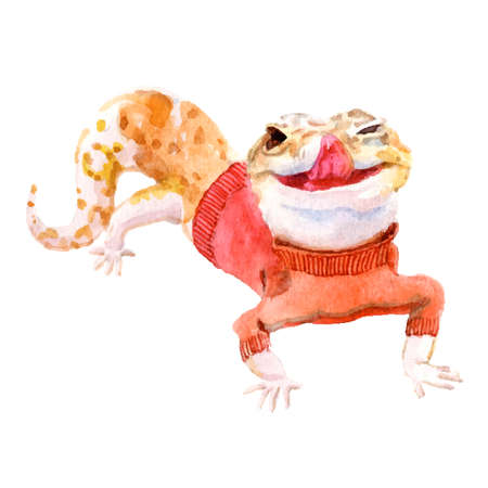 gecko in a red sweater. vector illustrationのイラスト素材