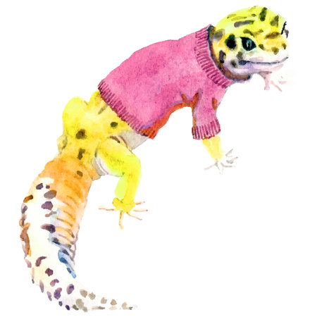 gecko in pink sweater vector illustrationのイラスト素材