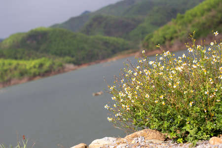 The abundant reservoir in northern Thailand.の写真素材