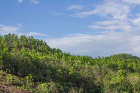 The abundant reservoir in northern Thailand.の写真素材