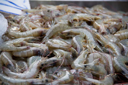 seafood market in Pataya Thailand.の写真素材