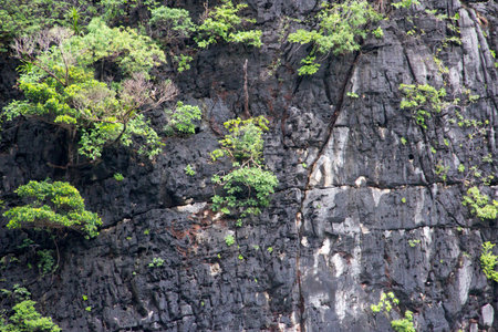 Pileh lagoon in Krabi province Thailand.の写真素材