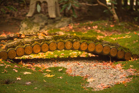 Autumn in Japanese garden. The best times to visit the country.の写真素材