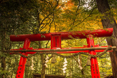 Japanese shrine in autumn Arashiyama , Kyoto , Japan.のeditorial素材