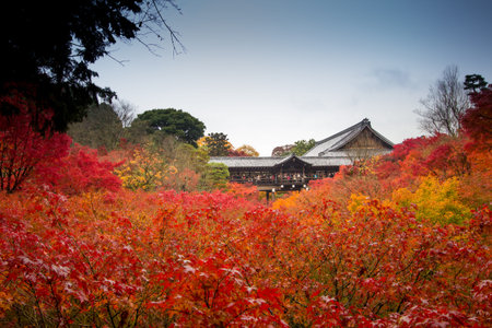 Autumn in Tofukuji temple Kyoto , Japan.