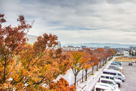 Morning street around outside of osaka area in autumn 2014.のeditorial素材