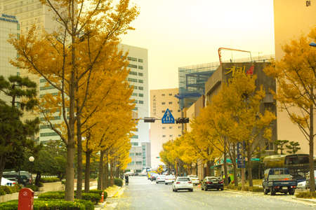 Autumn street in Korea.のeditorial素材