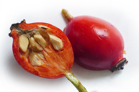 Rose hip cut in two halves, macro inside view with pulp and seeds, close up on white backgroundの写真素材