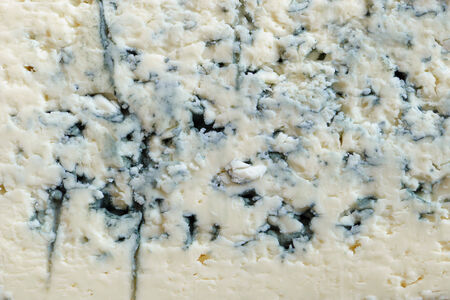 blue cheese as background, textureの写真素材