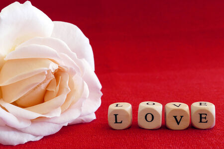 Love message written in wooden blocks, rose, red backgroundの写真素材