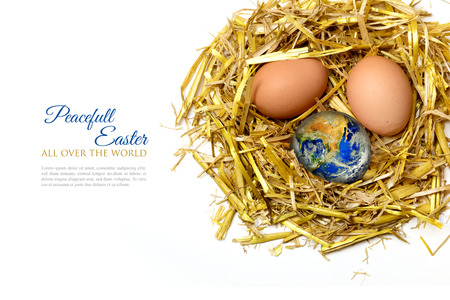eggs in a nest of golden straw, isolated on white background, sample text in the copy space peacefull easter all over the worldの写真素材