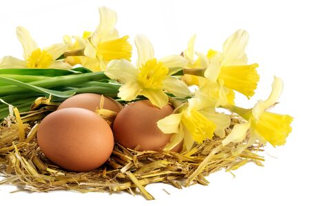 three eggs in a nest of golden straw and daffodils isolated on white backgroundの写真素材