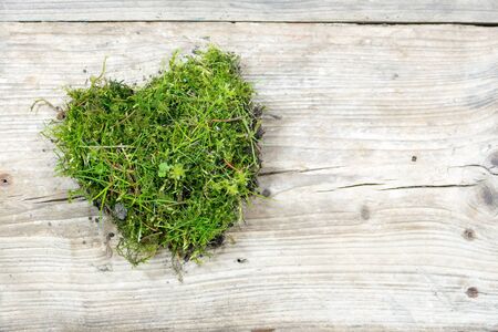 heart shape from moss and grass on old weatherd wood, love background with copy spaceの写真素材