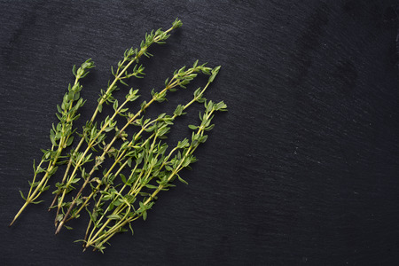 fresh green thyme, Thymus vulgaris, on a dark slate background with copy spaceの写真素材