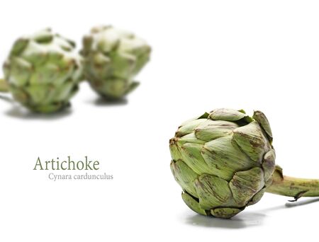 ripe artichoke and two others blurred in the background, isolated on white, sample textの写真素材