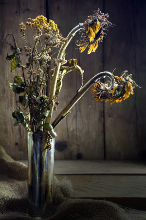 withered bouquet with golden sunflower and tansy in sidelight on rustic wood, selected focusの写真素材