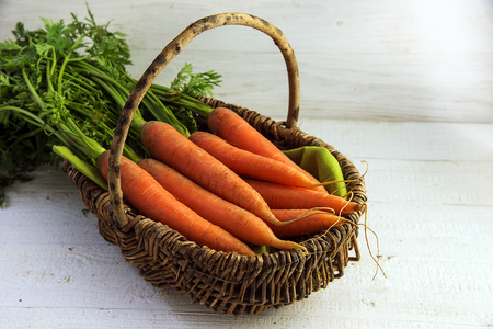 Bunch of organic carrots with green leaves in a basket, on white painted rustic wood, freshly harvested in the market, copy space, selected focusの写真素材