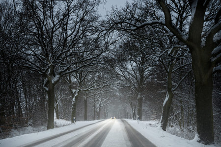 single car is driving carefully in the snow on a country road lined by dark bare trees, dangerous...