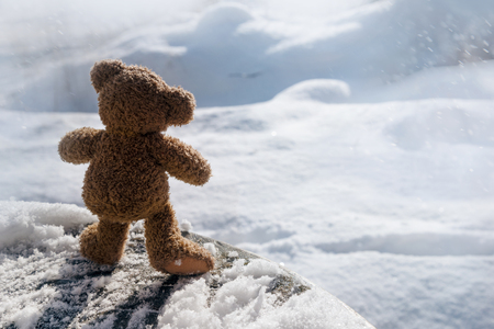 little teddy bear from behind  is looking to the snow, winter concept with copy spaceの写真素材